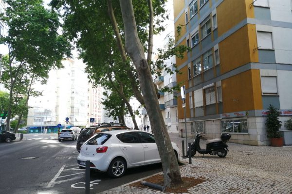 Apartment in Lisboa - Lisboa